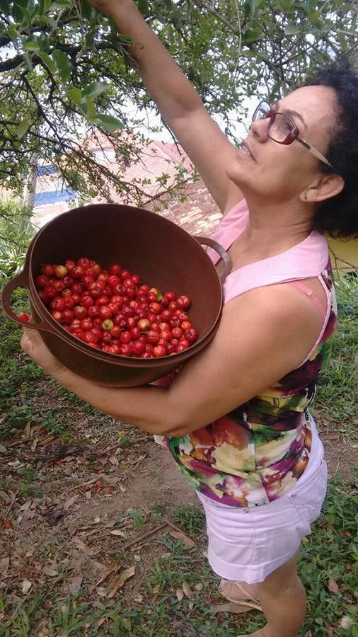Pousada Vida Simples Paulas 외부 사진